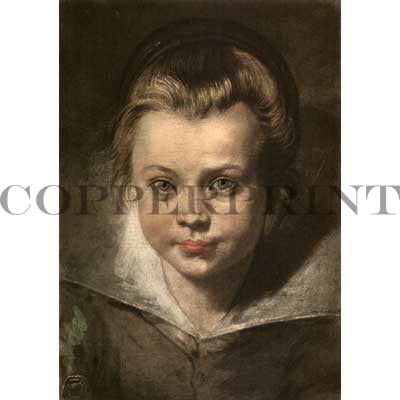 Kopf eines Kindes - Peter Paul Rubens