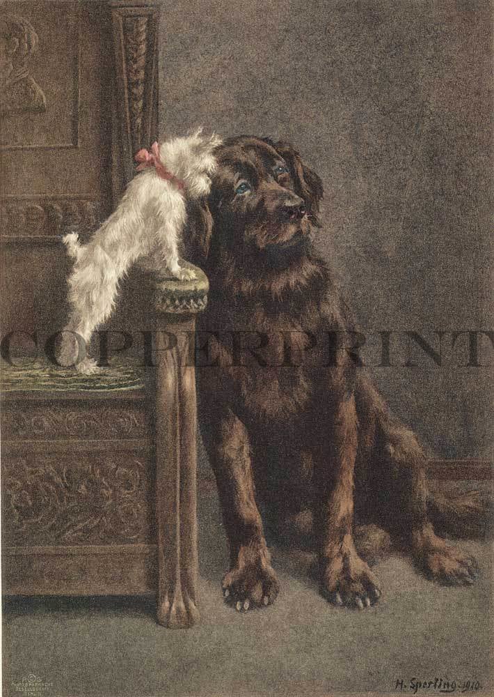 Kleiner und großer Hund Kunstdruck Tiefdruck