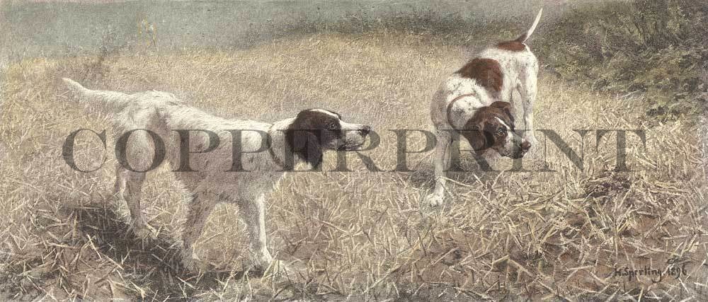 Zwei Hunde im Feld Kunstdruck Tiefdruck