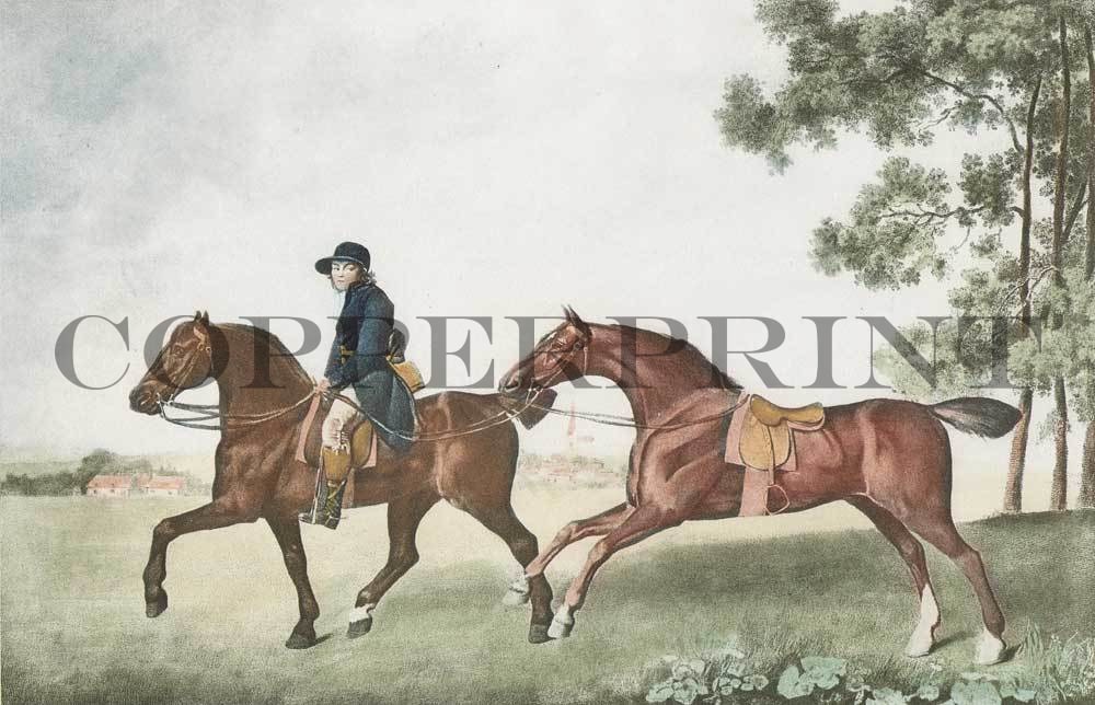 Mann mit zwei Pferden Kunstdruck Tiefdruck