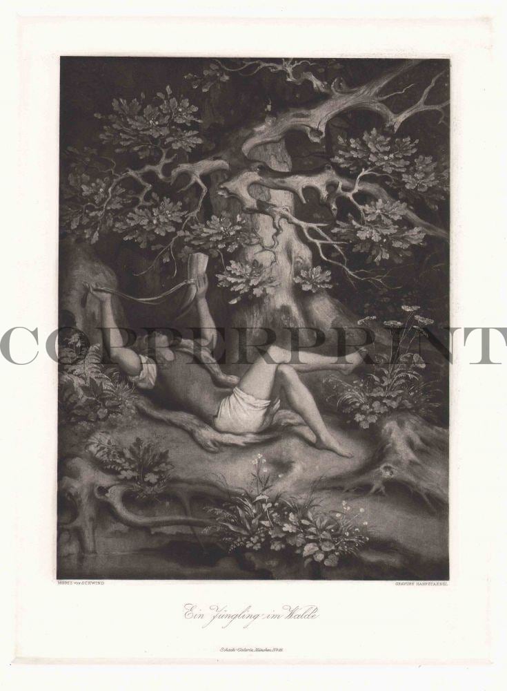 junger Mann im Wald Kunstdruck Tiefdruck