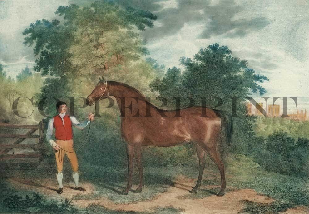 Mann mit Pferd Kunstdruck Tiefdruck