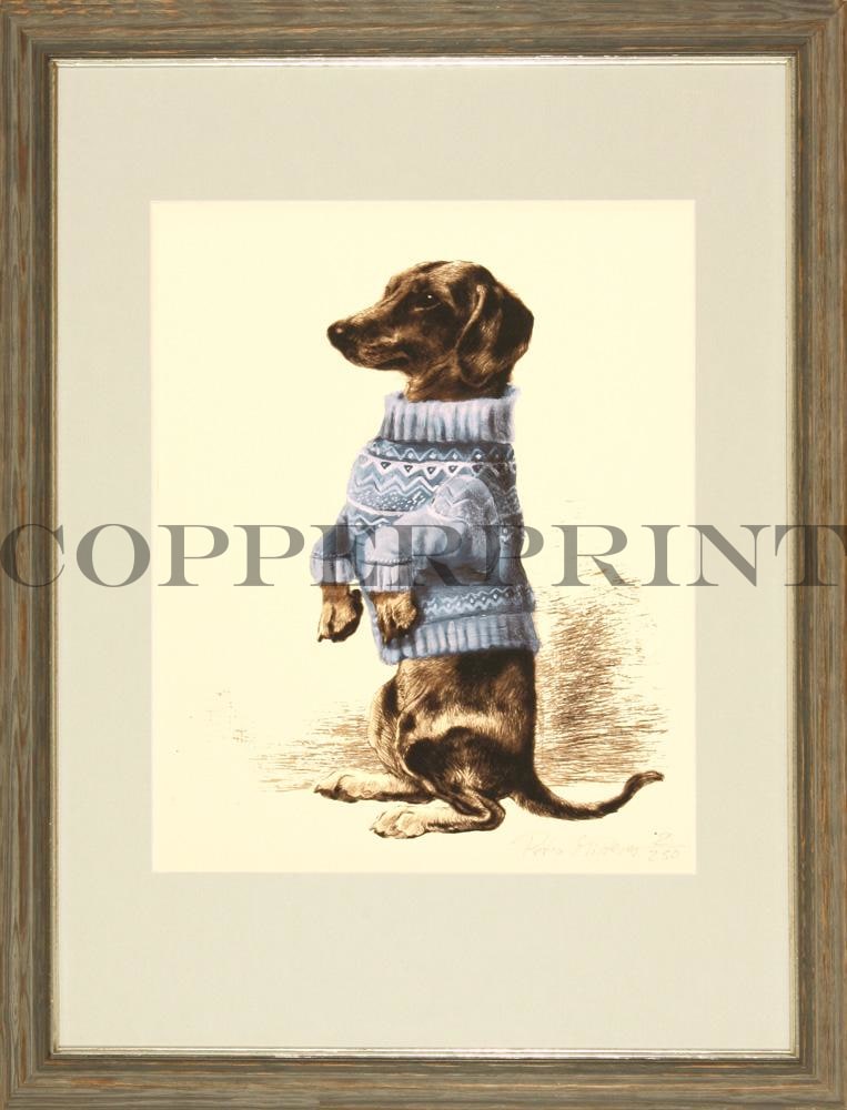 Dackel in blauem Pullover Kunstdruck Tiefdruck