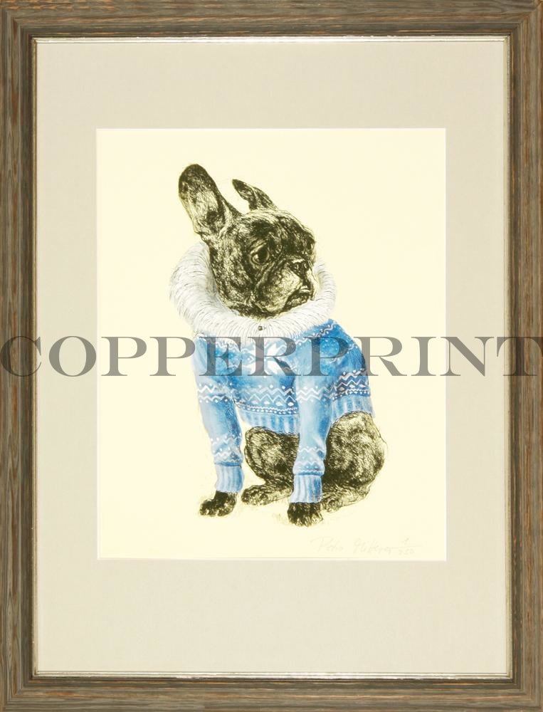 Bulldogge im blauen Pullover Kunstdruck Tiefdruck