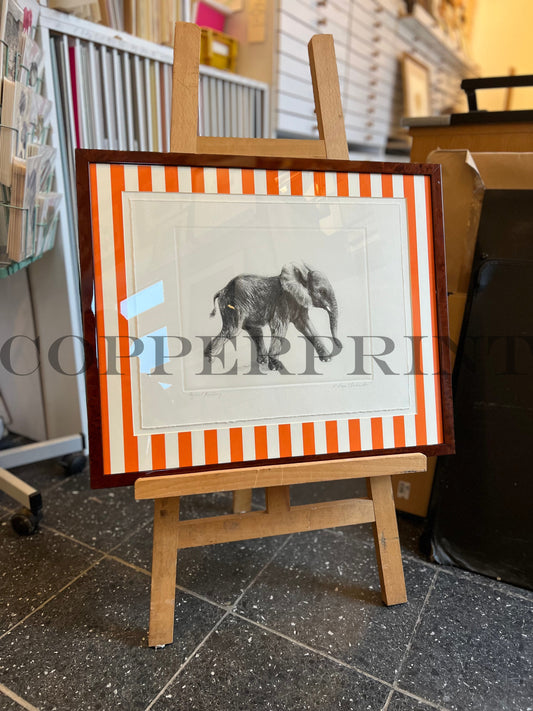 Elefant auf orangen Streifen