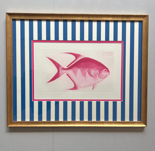 Rautenförmiger PINKER Klippfisch auf blauen Streifen