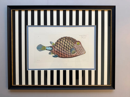 Geperltes Dreieck Fisch auf schwarzen Streifen