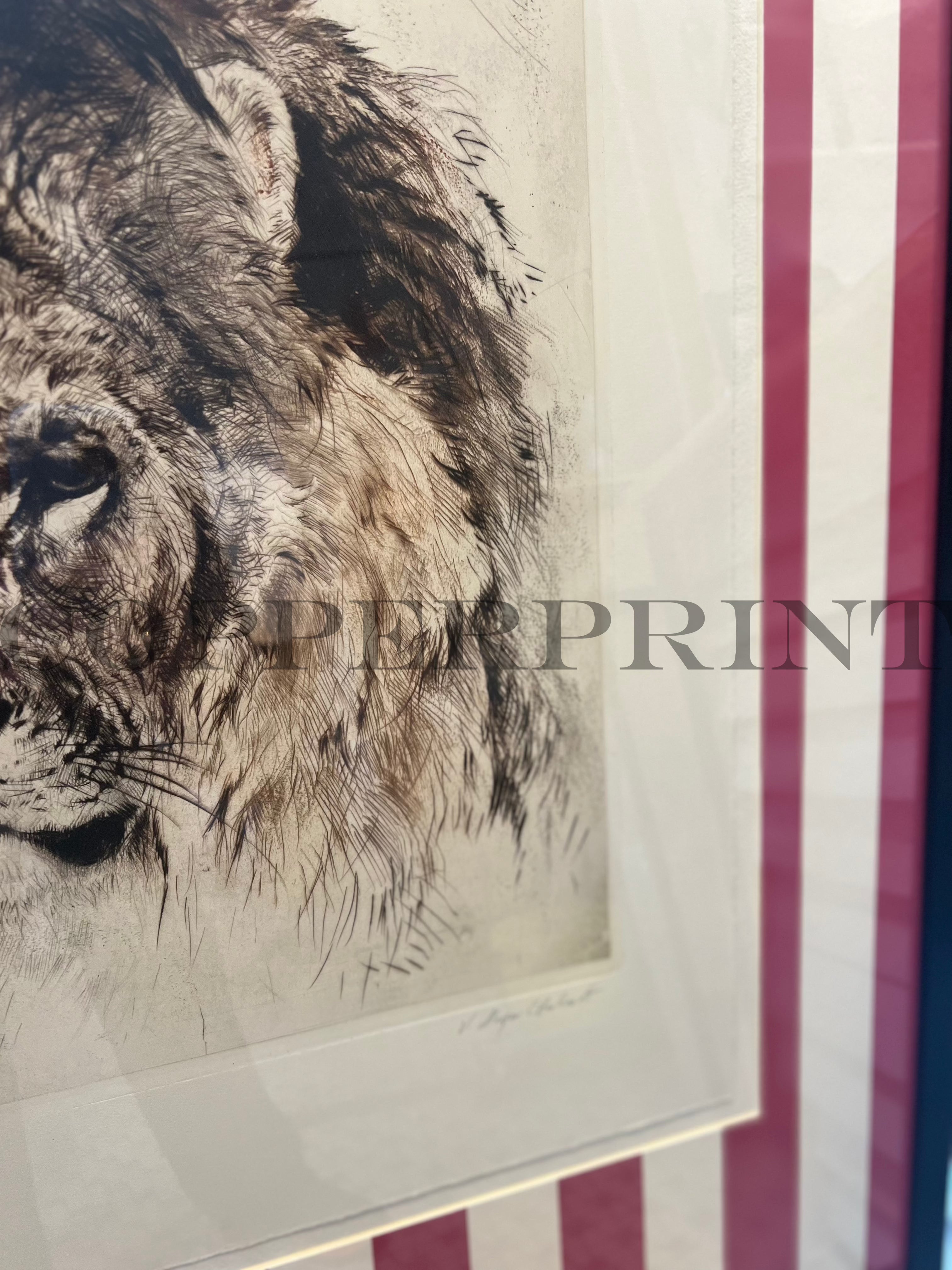 Löwe auf Himbeer Streifen – copperprint Löwe auf Himbeer Streifen – copperprint