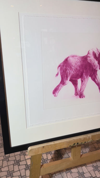 Der pinke Elefant gerahmt