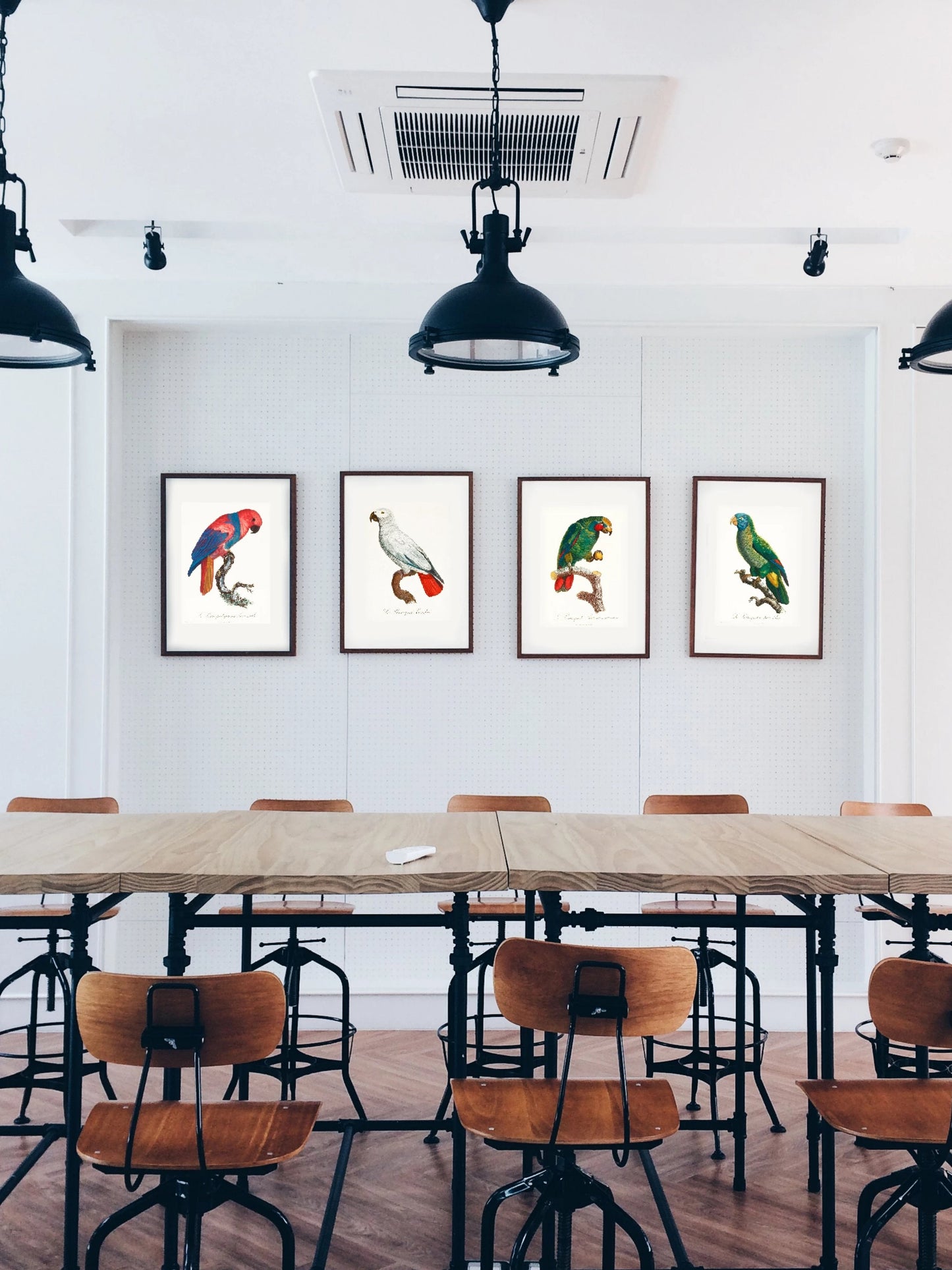 Kunstdrucke von Papageien hängen in Konferenzraum