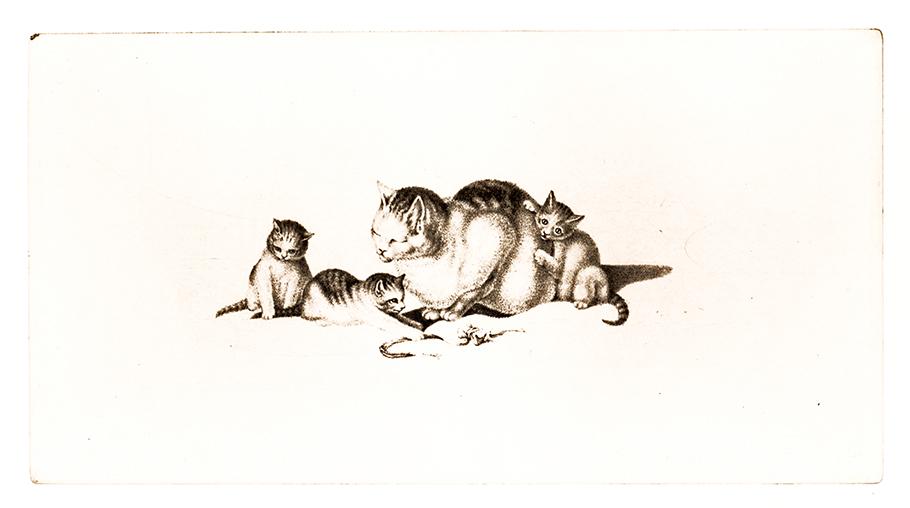Zeichnung dreier Katzen Kunstdruck Tiefdruck