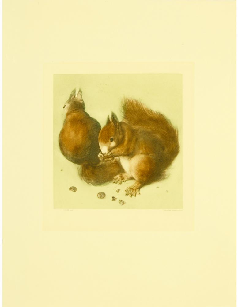 zwei Eichhörnchen mit Nüssen Kunstdruck Tiefdruck