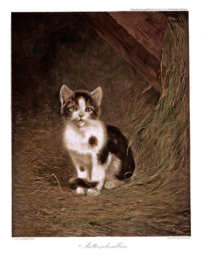 einsame Katze im Heu Kunstdruck Tiefdruck