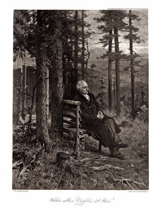 Mann sitzt nachdenklich im Wald Kunstdruck Tiefdruck