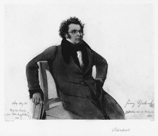 Portrait von Franz Schubert Kunstdruck Tiefdruck
