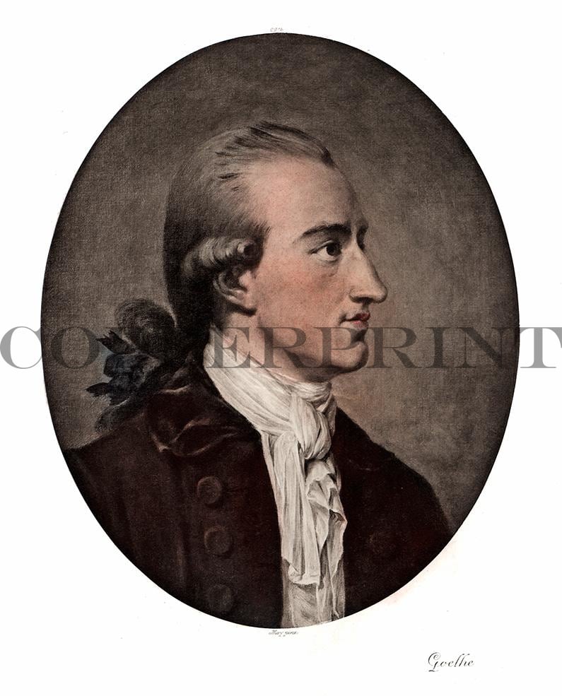 Portrait von Johann Wolfgang von Goethe Kunstdruck Tiefdruck