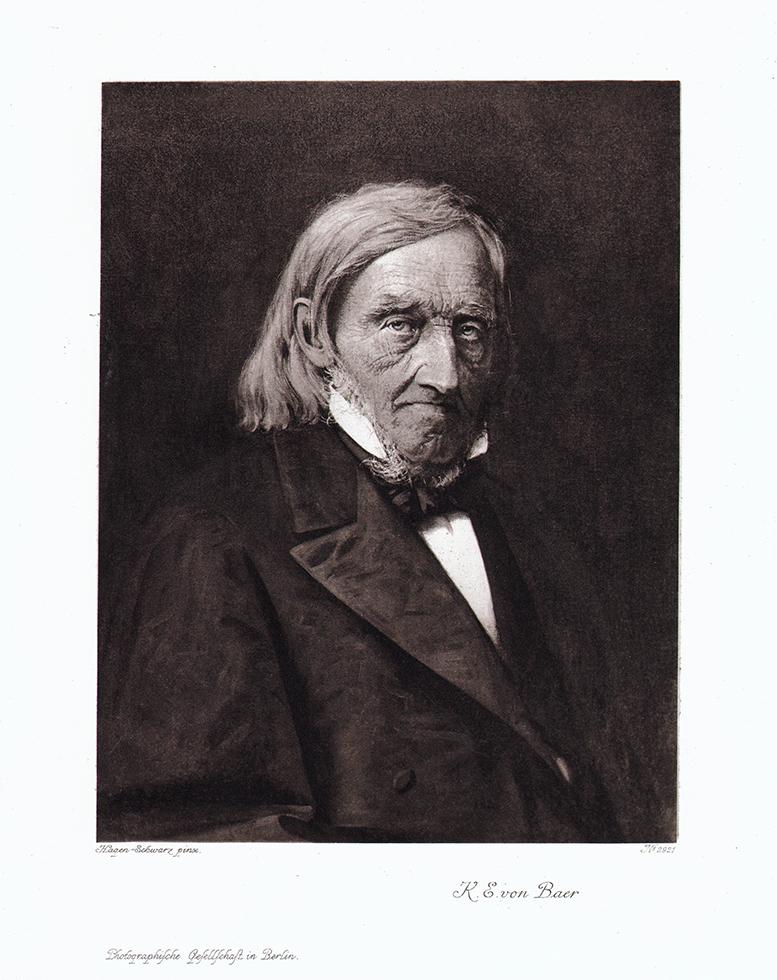 Portrait von K.E. von Baer Kunstdruck Tiefdruck