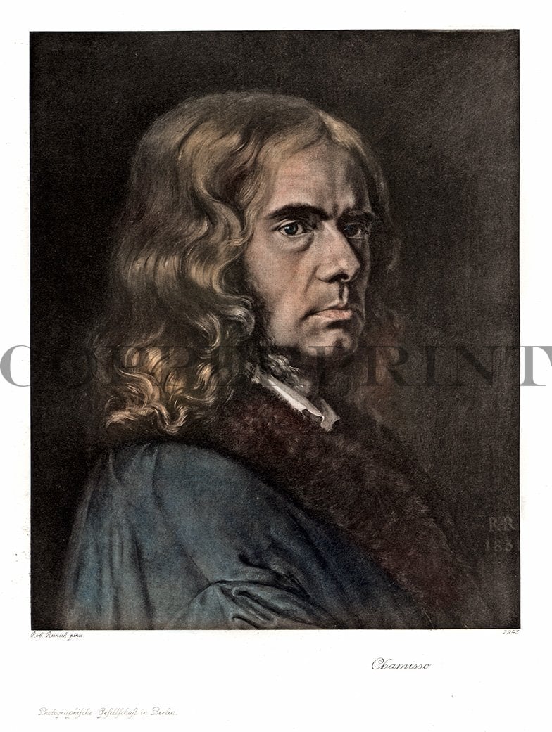 Portrait von Chamisso Kunstdruck Tiefdruck