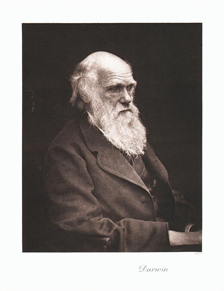 Portrait von Charles Darwin Kunstdruck Tiefdruck