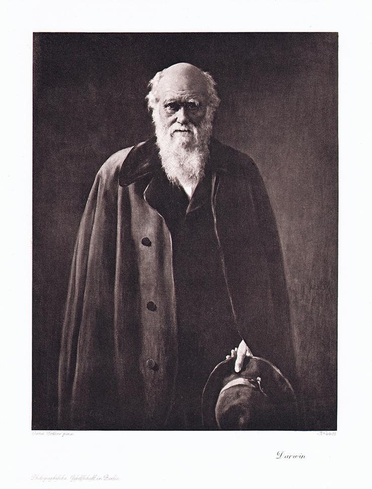Portrait von Charles Darwin im Mantel Kunstdruck Tiefdruck