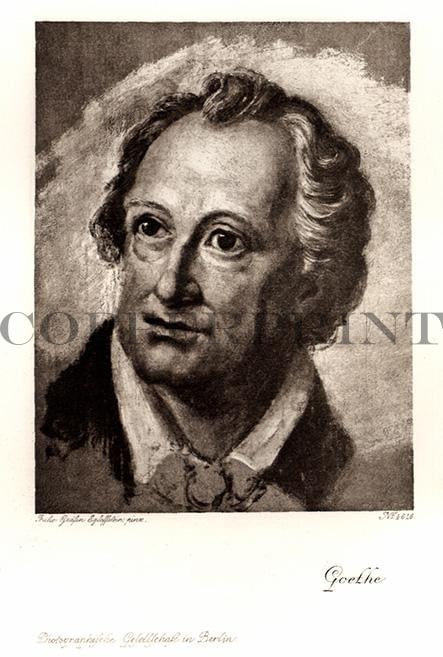 Portrait von Johann Wolfgang von Goethe Kunstdruck Tiefdruck