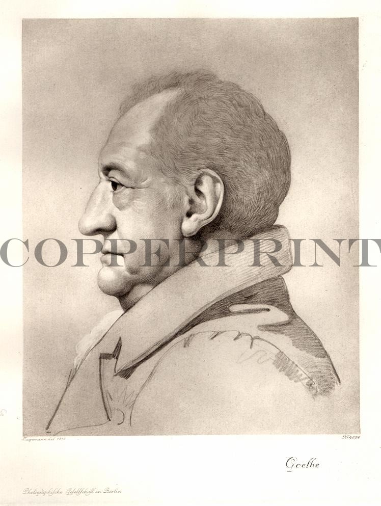 Portrait von Johann Wolfgang von Goethe Kunstdruck Tiefdruck