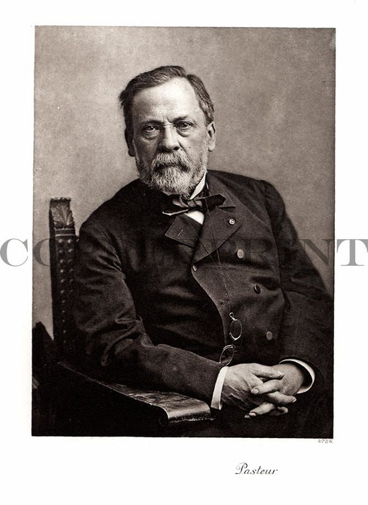 Portrait von Pasteuer Kunstdruck Tiefdruck