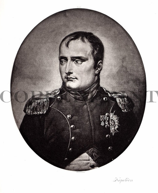 Portrait von Napoleon Kunstdruck Tiefdruck