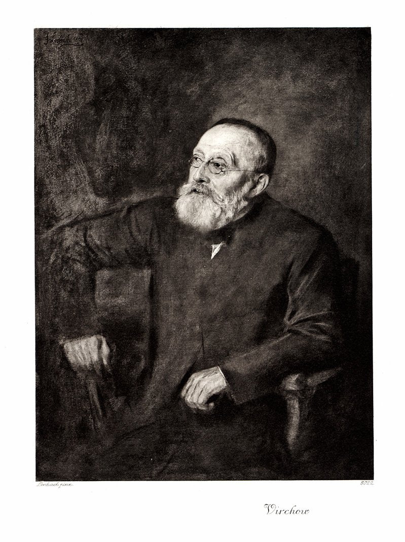 Portrait von Rudolf Virchow Kunstdruck Tiefdruck