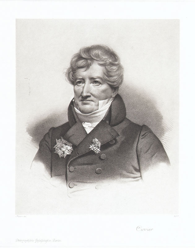 Portrait von Georges Cuvier Kunstdruck Tiefdruck