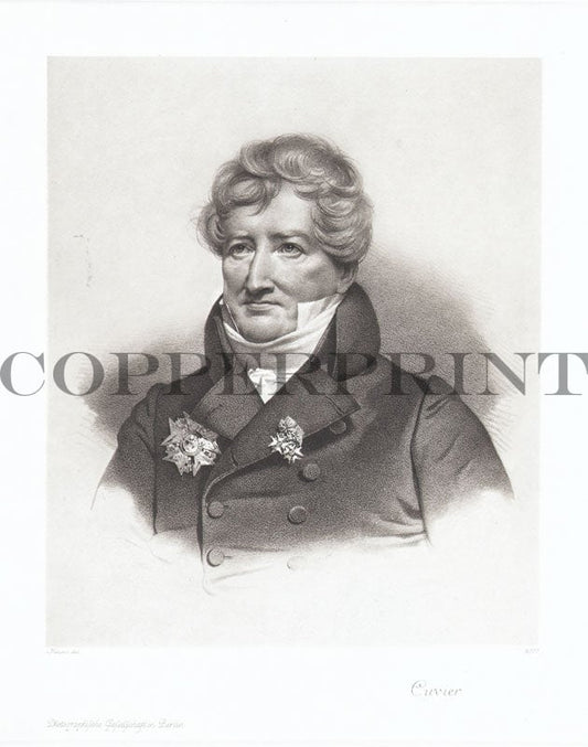 Portrait von Georges Cuvier Kunstdruck Tiefdruck