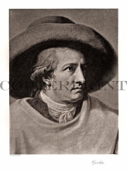 Portrait von Johann Wolfgang von Goethe Kunstdruck Tiefdruck