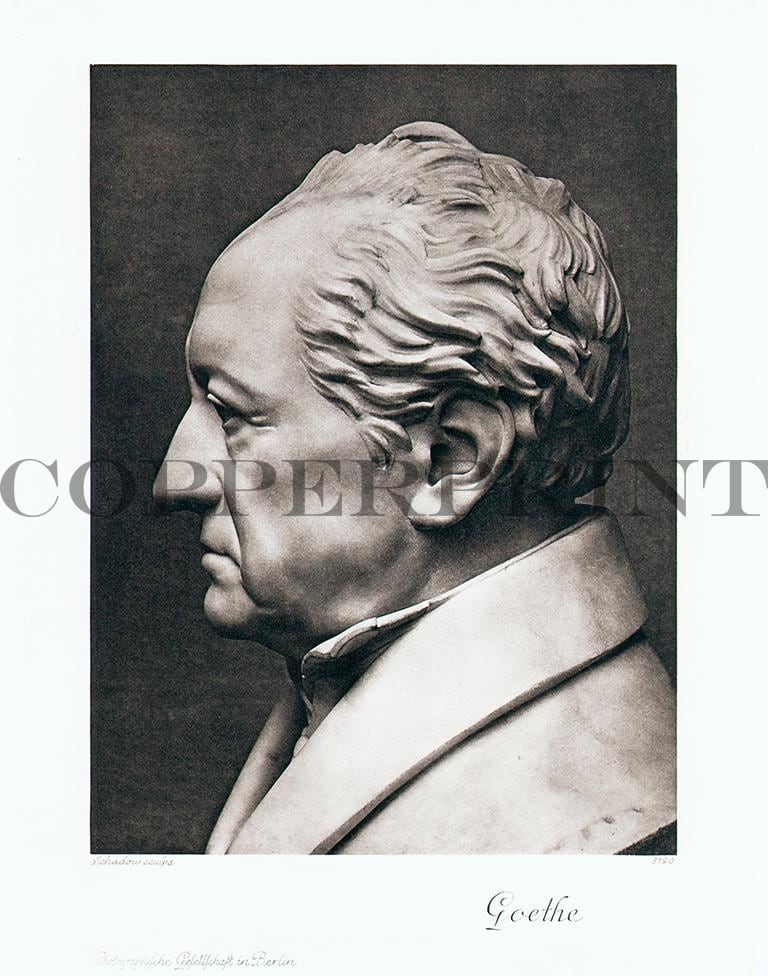Portrait von Johann Wolfgang von Goethe Kunstdruck Tiefdruck
