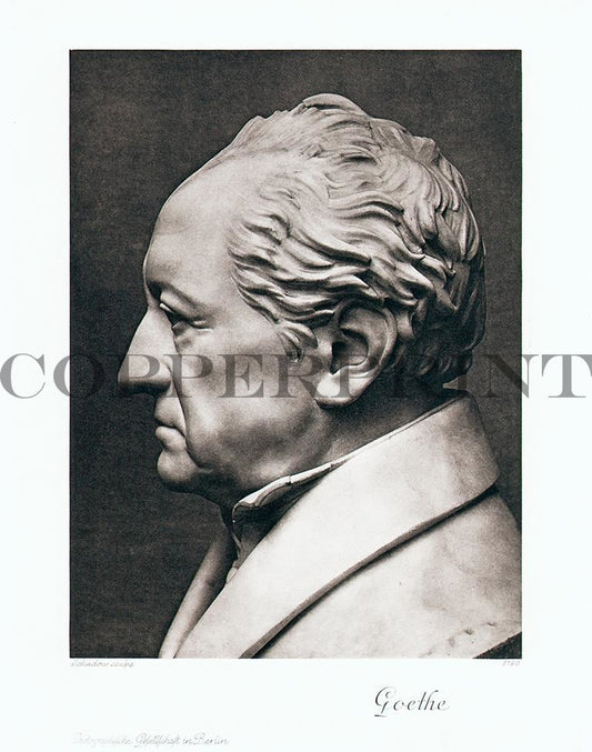 Portrait von Johann Wolfgang von Goethe Kunstdruck Tiefdruck