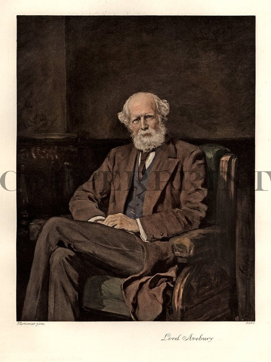 Portrait von Lord Avebury Kunstdruck Tiefdruck