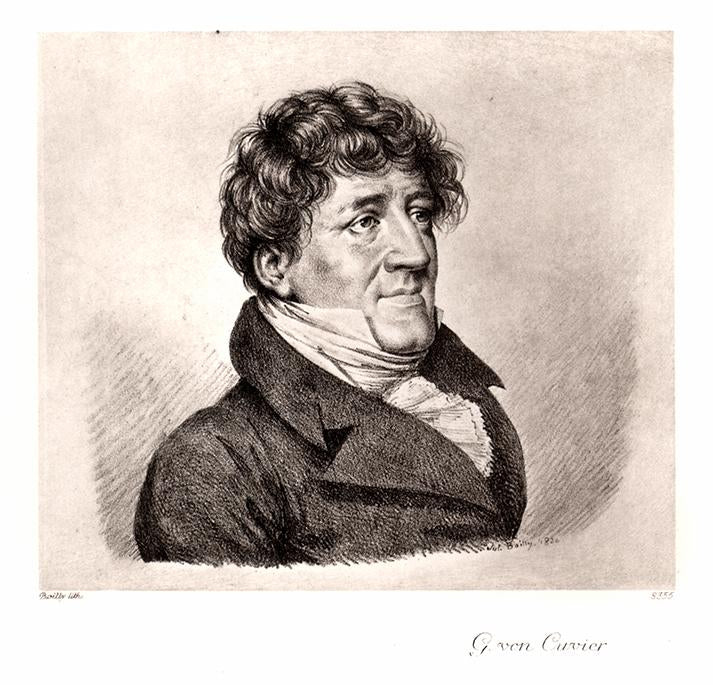 Portrait von G. von Cuvier Kunstdruck Tiefdruck