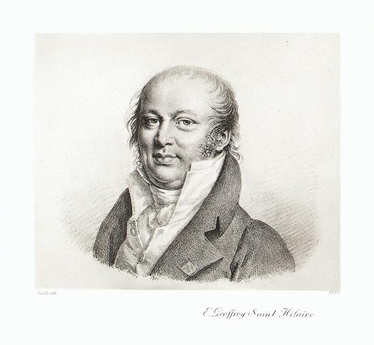 Portrait von Tienne Geoffroy Saint-Hilaire Kunstdruck Tiefdruck