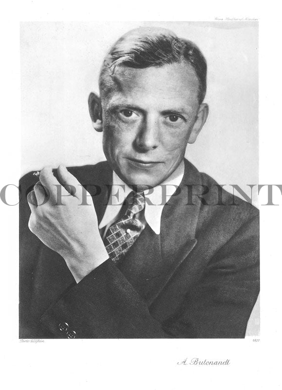 Portrait von Adolf Butenandt schwarz weiß Kunstdruck Tiefdruck