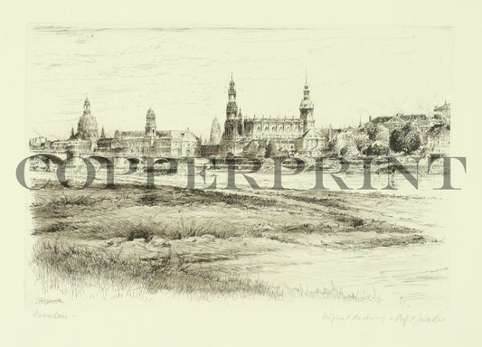 Stadtansicht von Dresden Kunstdruck Tiefdruck