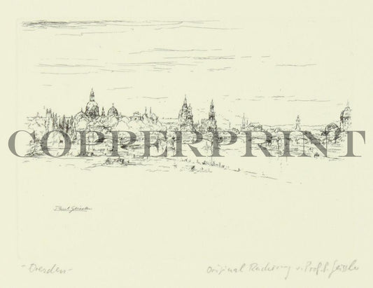 Dresden, Waldschlößchen, Stadtansicht