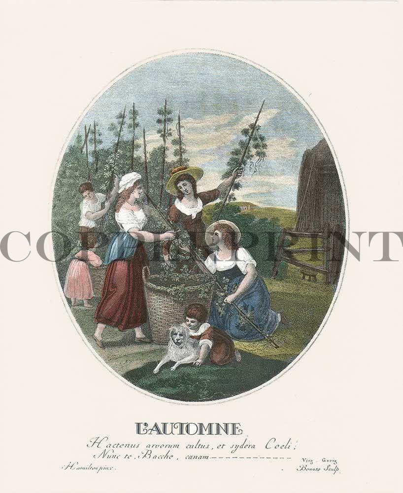 Illustration von Herbst Kunstdruck Tiefdruck