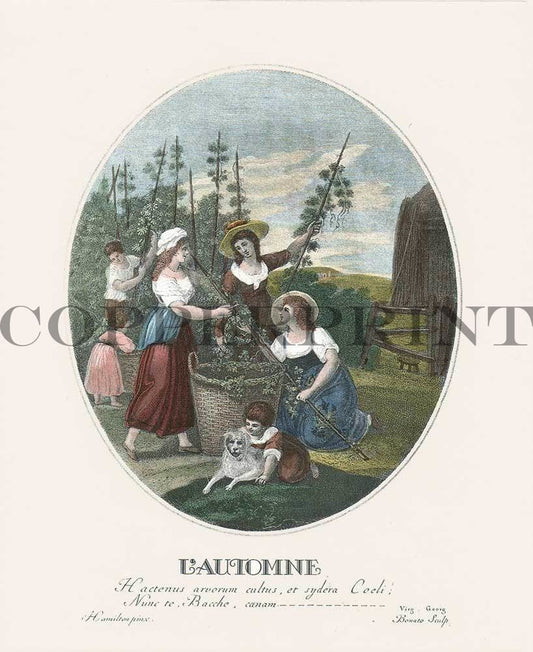 Illustration von Herbst Kunstdruck Tiefdruck