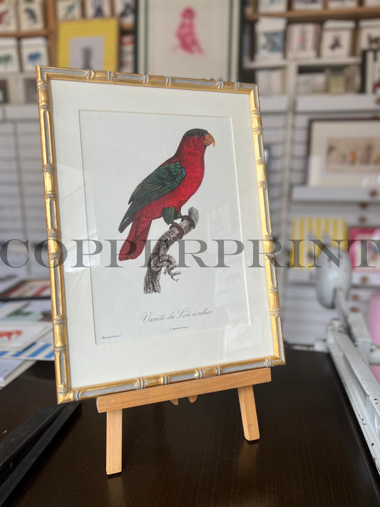 Off- Set Vogel