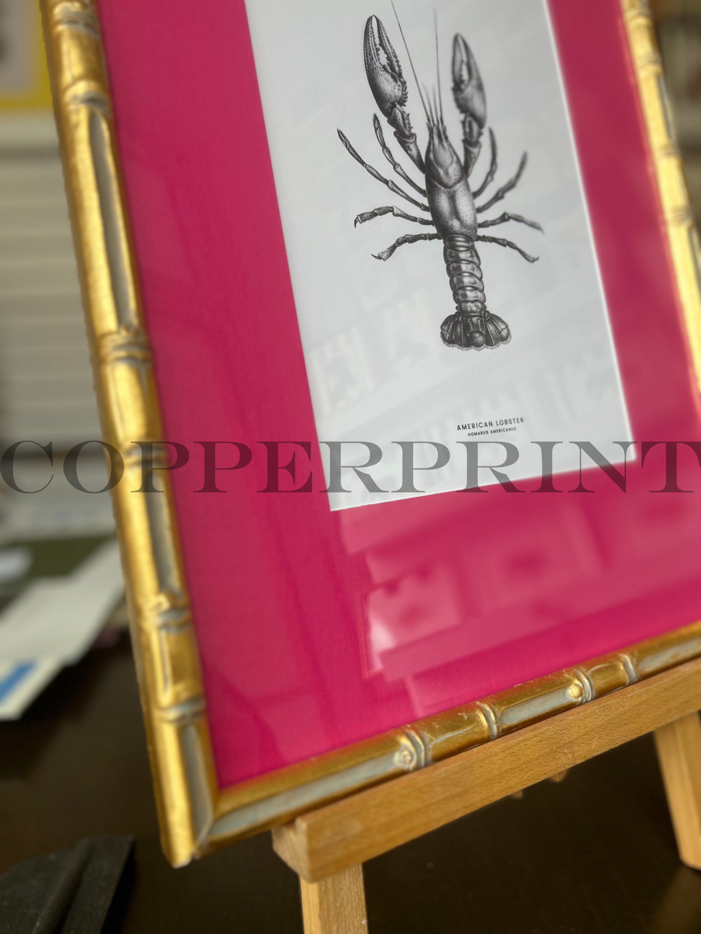Lobster PINK