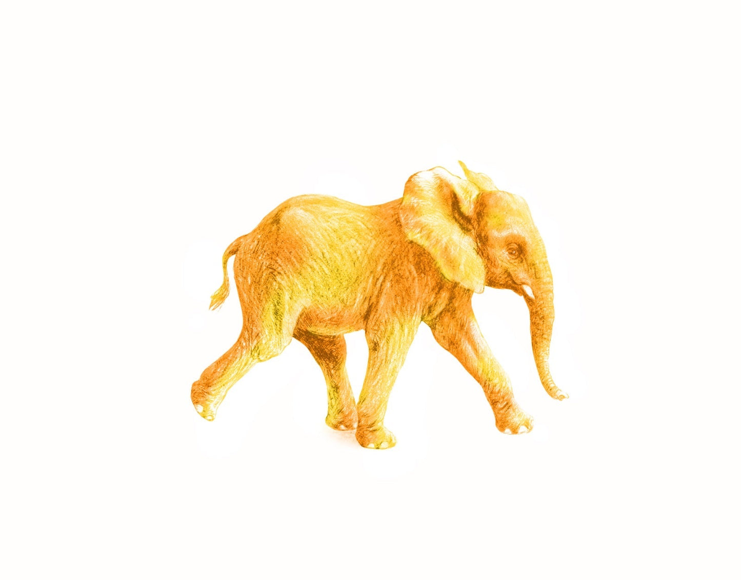 Junger Elefant gelb - Kunstkarte
