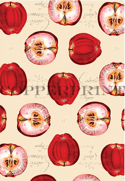 gemischter Apfel - Kunstkarte