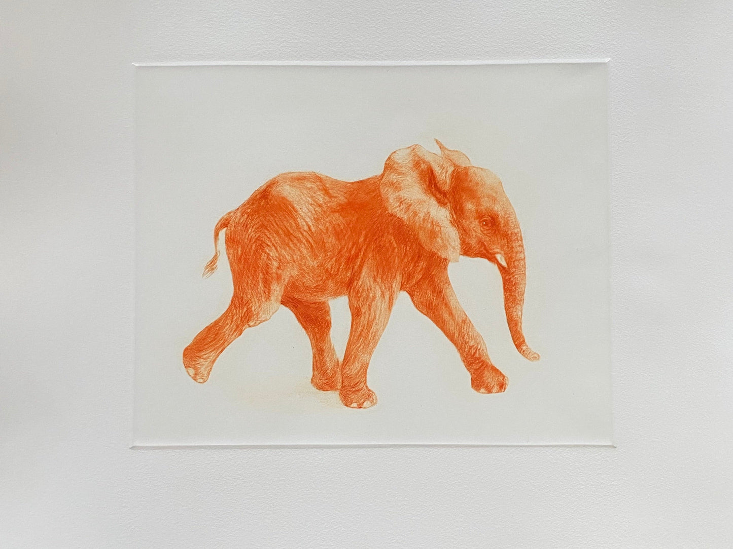 Junger Elefant, orange
