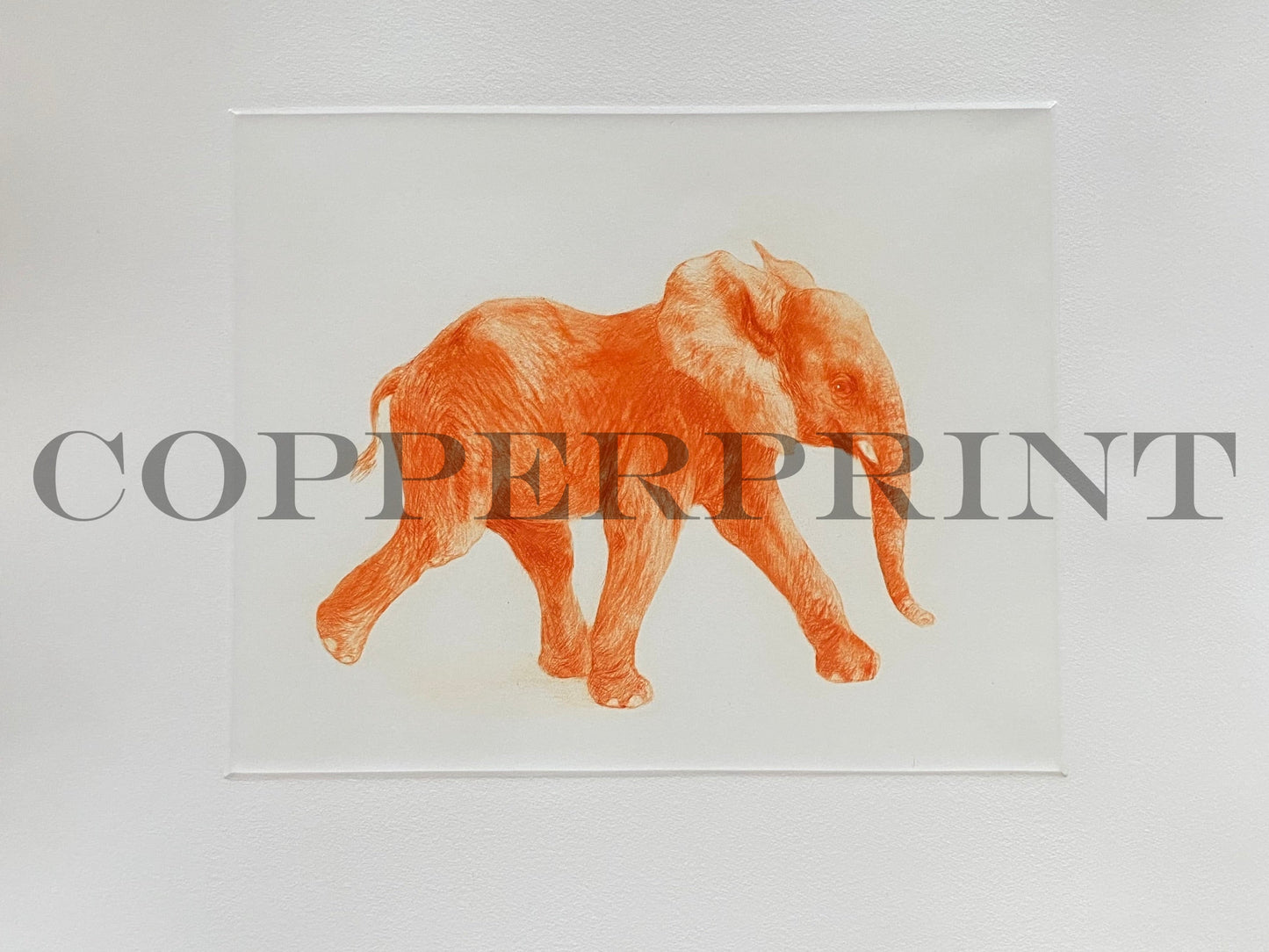 Junger Elefant, orange