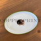 Porzellan Schälchen oval mit Häschen