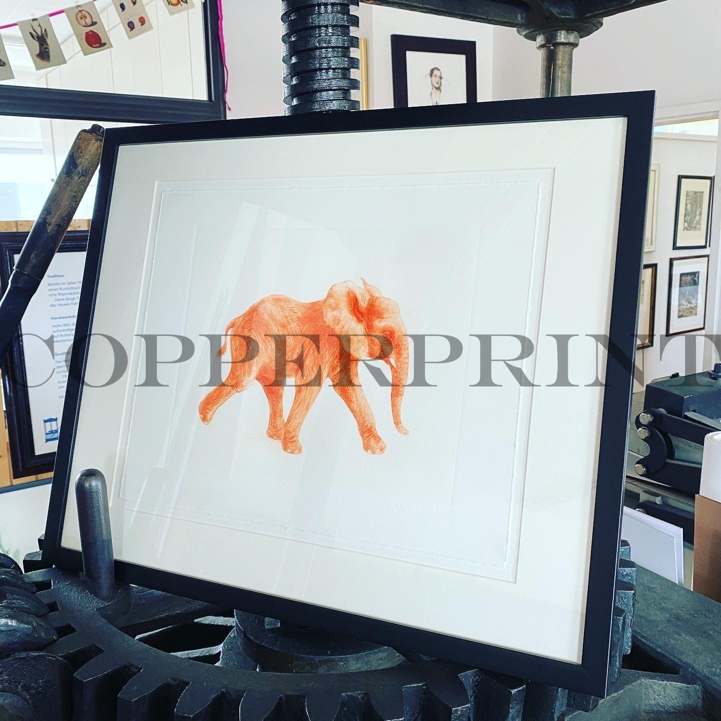 Der orange Elefant gerahmt